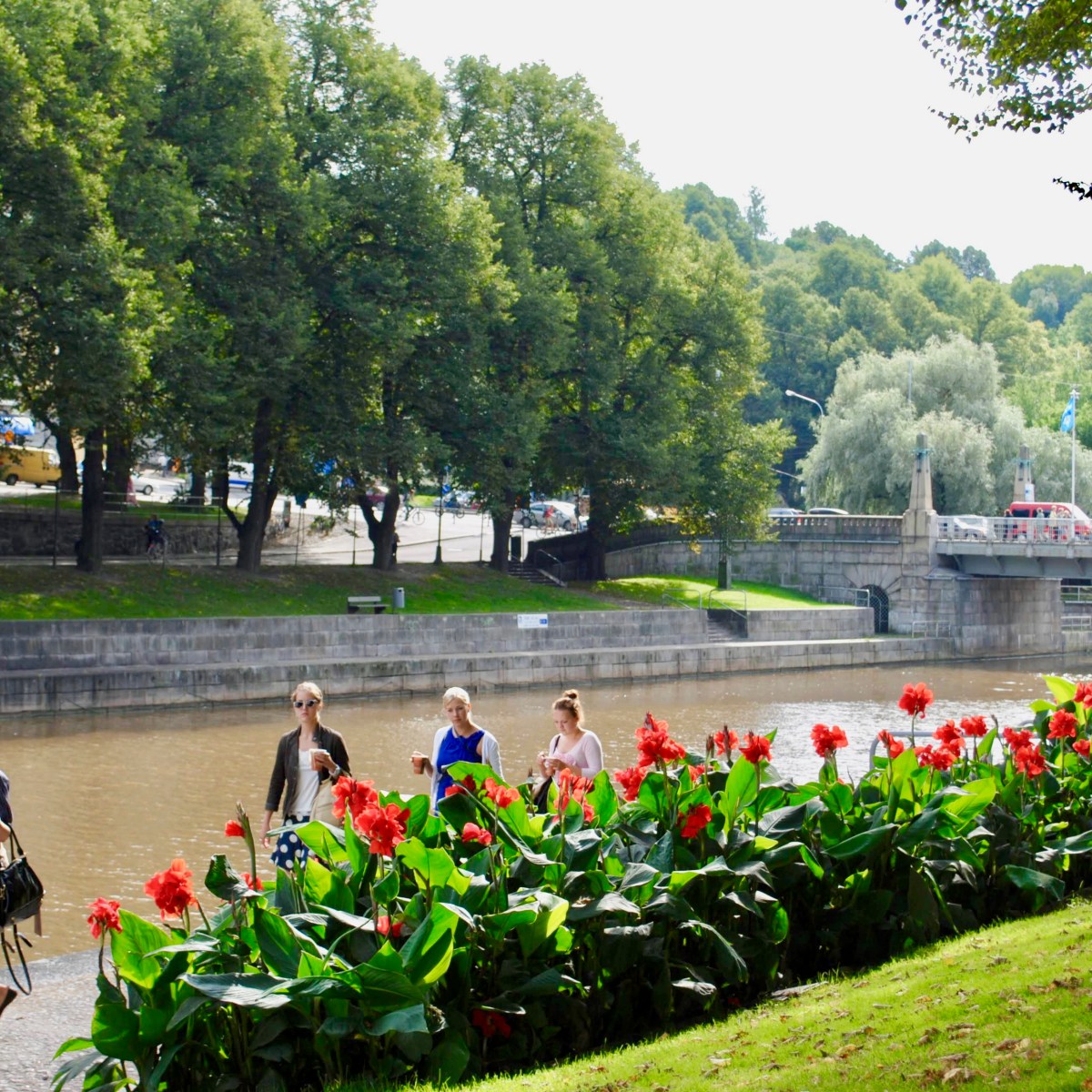 Photo Collage: Fall in Turku