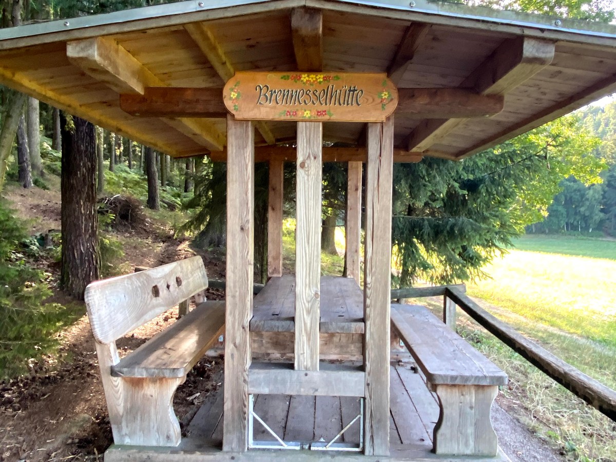 Staycation: Saxon Switzerland Mountains in Germany