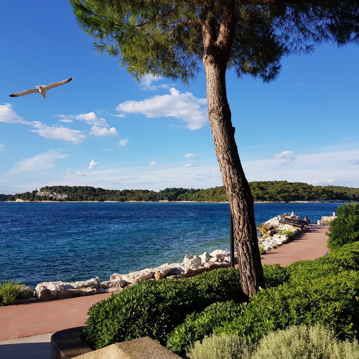 ITINERARY: 7 DAYS IN ISTRIA, CROATIA