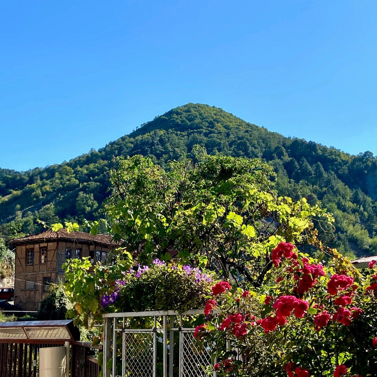 Trippin: Kratovo & Stone Dolls