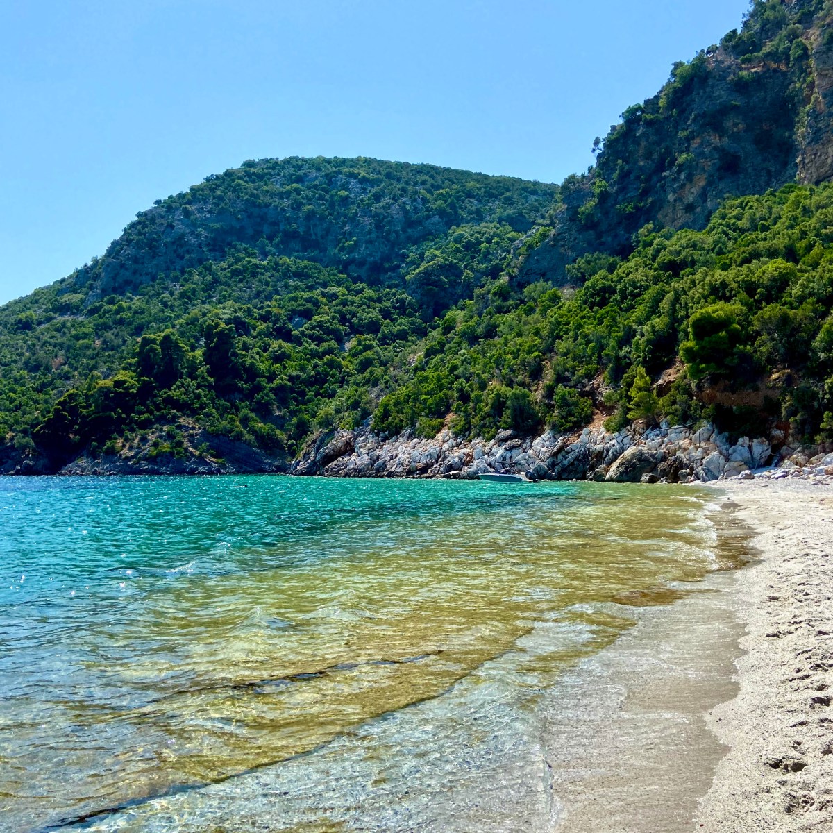 Trippin: Day Trip in Skopelos