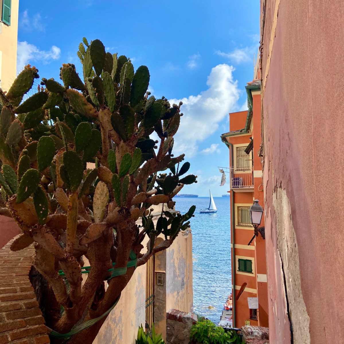 Trippin: Beach Holiday in Genoa