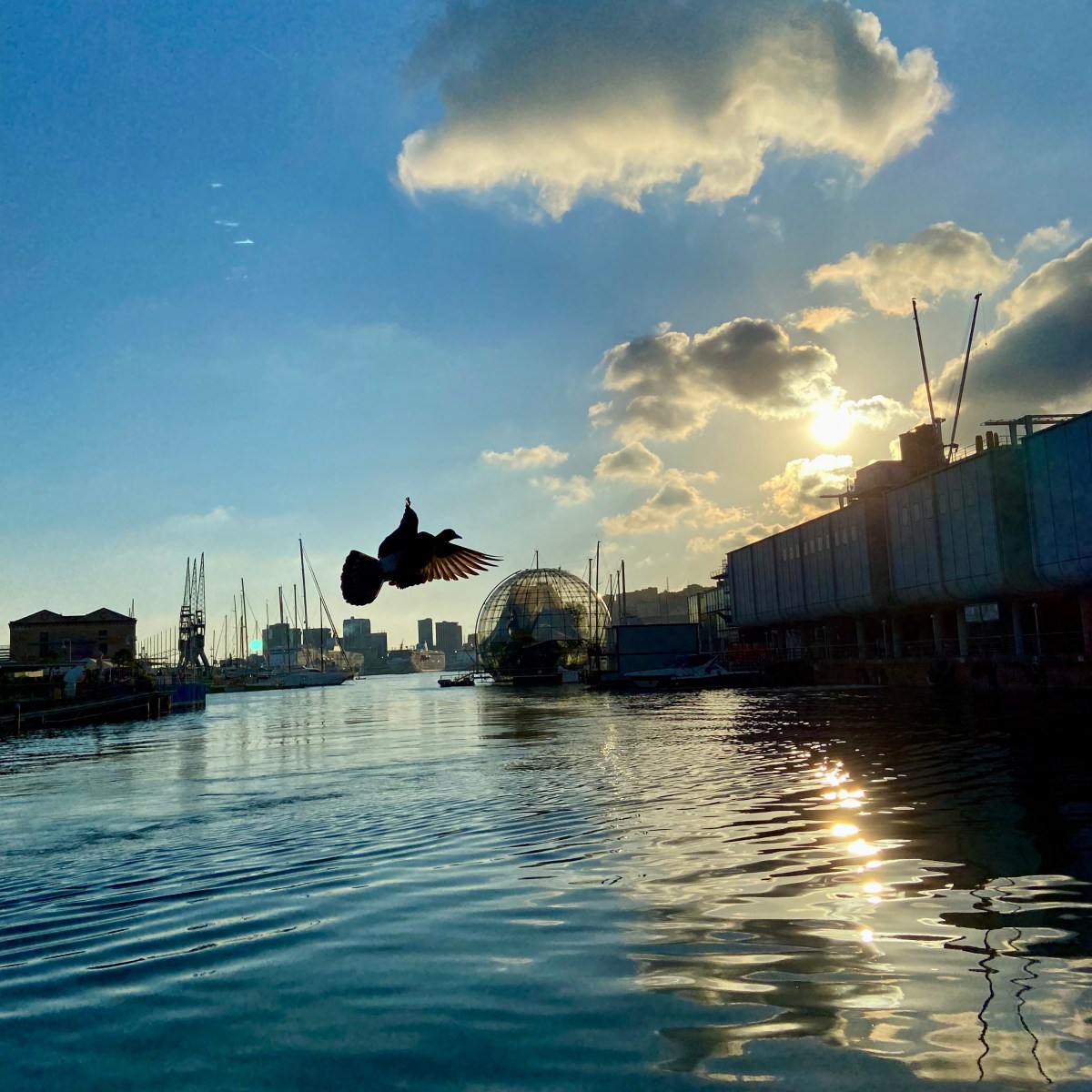 ITINERARY: North-West Italy: Milano – Genoa – Turin