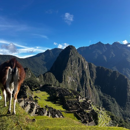 machu picchu